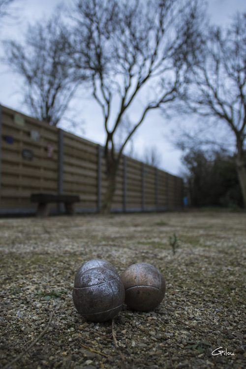 24635500722_6439ea36a5_c