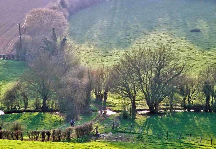 3880221773_41a1a6bd7e_c(1)