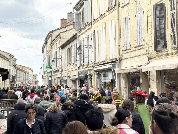 Carnaval des écoles publiques