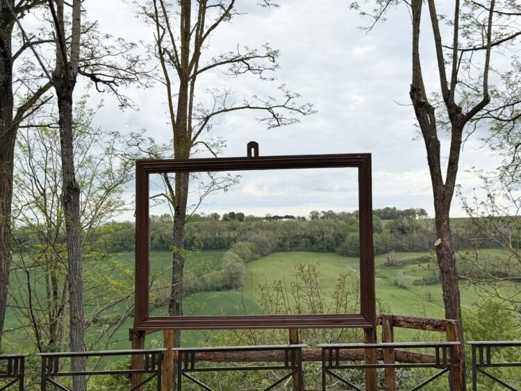 Vue dégagée sur le Boulevard du Nord&nbsp;: le résultat d'un travail d'élagage