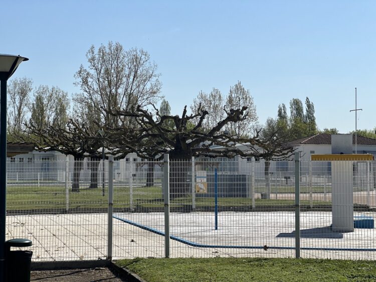 Gratuité à la piscine de Fleurance pour les lectourois