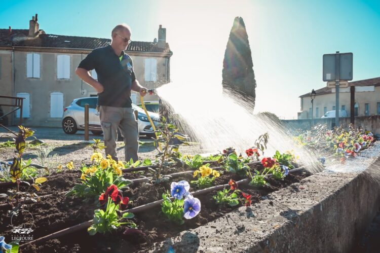 Lectoure, ville 4 fleurs, passe au fleurissement d'hiver