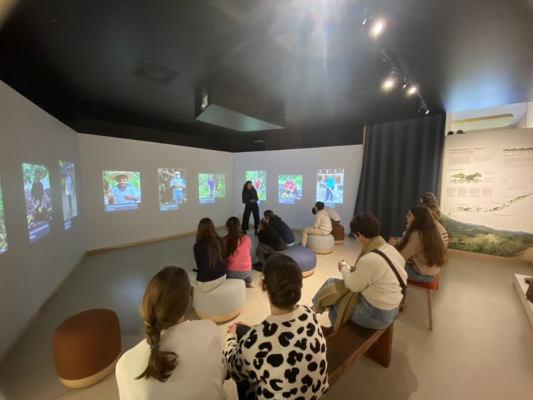 Les collégiens découvrent les coulisses du chocolat équitable
