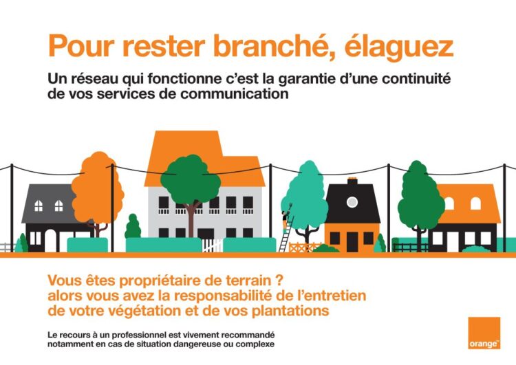 Élagage et réseaux&nbsp;: entretenons nos arbres pour garantir nos connexions et notre sécurité