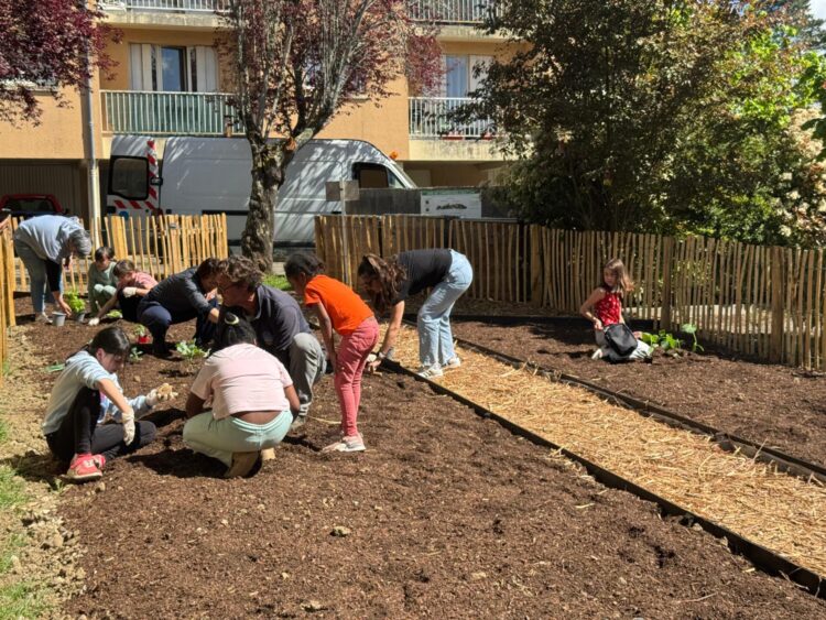 Les enfants cultivent la solidarité avant le Festival Terres Solidaires