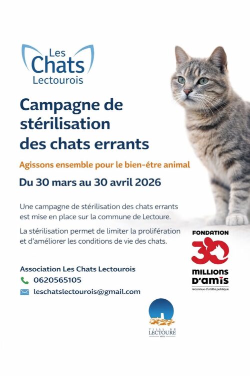 Campagne de stérilisation des chats errants